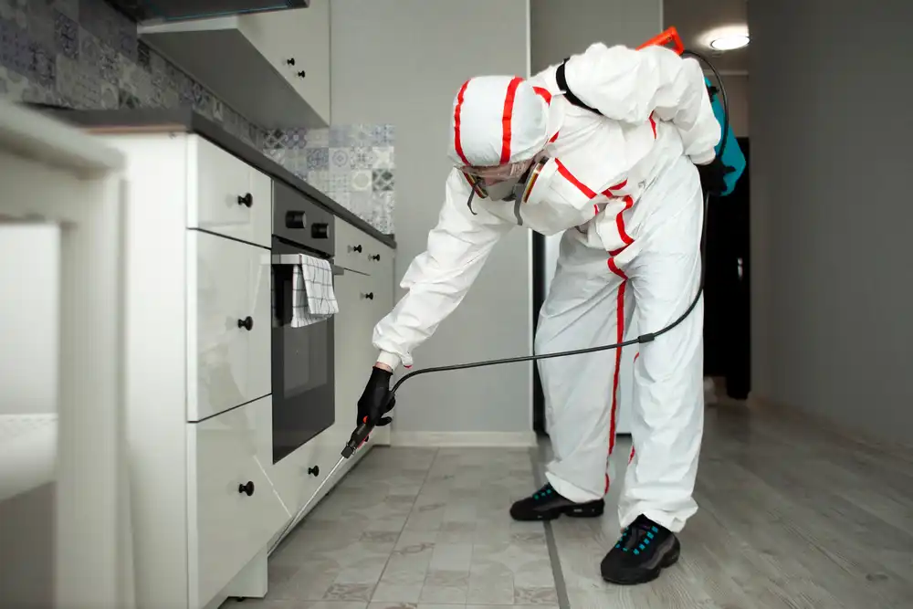 pest control