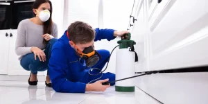 spraying pesticide