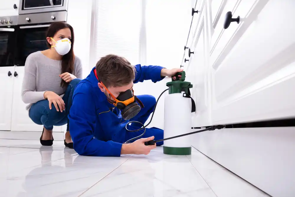 spraying pesticide
